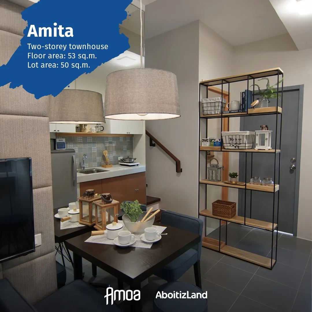 Amita model-home living area reference from the supplied Amita media folder